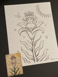 The LIlly: Lenormand Della Luna Original Ink Drawing