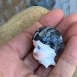 “Katrina’s Tiny Head“