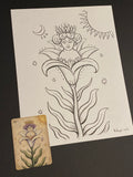 The LIlly: Lenormand Della Luna Original Ink Drawing