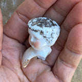 “Emily’s Tiny Head“