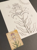 The LIlly: Lenormand Della Luna Original Ink Drawing
