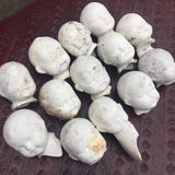 Large Broken Souls/Baby Heads!