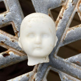 ‘Timothy’s Tiny Head“