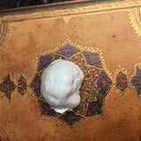 Maribel’s Lost Head