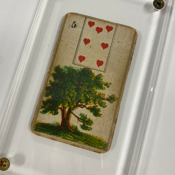 “The Tree”  Authentic Stralsunder Lenormand c 1890