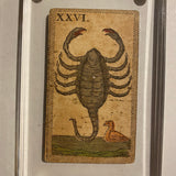 Scorpio-Historical Minchiate Tarot Card c.1850