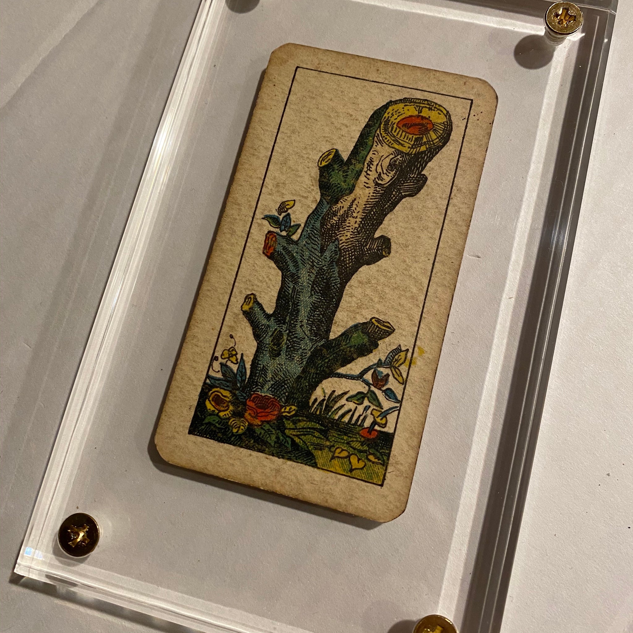 Ace of Wands”-Authentic Antique Tarot Card 1920. G. Cassini